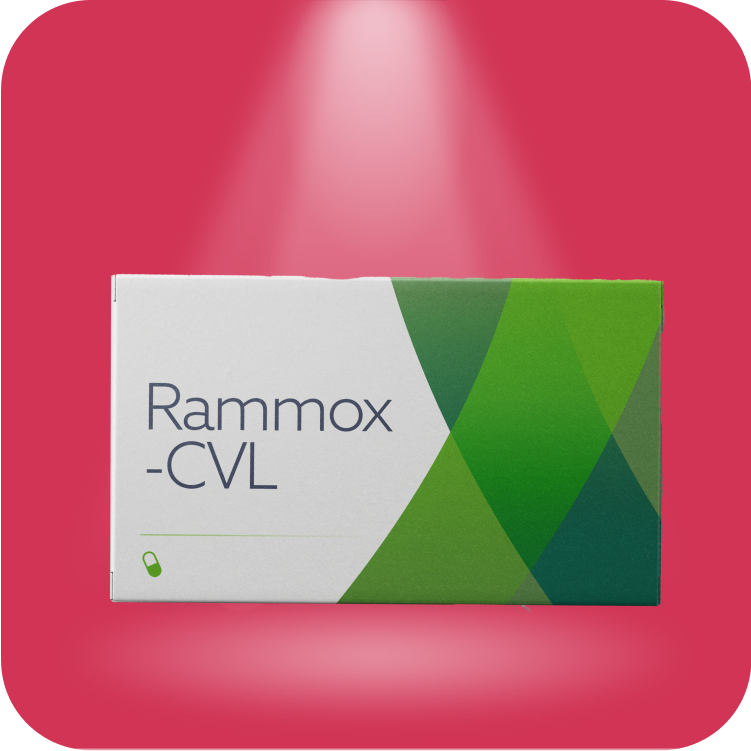Rammox - CVL